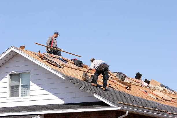 Best Sheet Metal Roofing  in Denver, PA