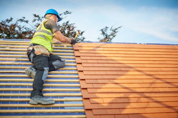 Best Steel Roofing  in Denver, PA